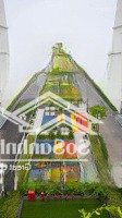 Cần Bán Lô Shophouse 185M2 Sát Vinhomes Cổ Loa Tiện Ích Đầy Đủ Sẵn Dử Dụng Kinh Doanh,Cho Thuê