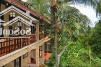 Resort Khu Phố Du Lịch Mũi Né 38Tỷ