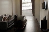 Nhà Mặt Phố 609M2 Tại Trần Hưng Đạo, Thủy Nguyên, Hải Phòng, 30,5 Tỷ, Đẹp Xuất Sắc!