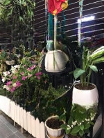 Cho Thuê Căn Hộ Platinum Số 6 Nguyễn Công Hoan Ba Đình Hà Nội