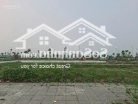 Đất Đấu Giá 88M2. Mt5M. Thụy Lâm - Đông Anh - Hà Nội. 7Tỷ4