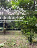 Cần Bán Lô Đất Thị Trấn Lương Sơndiện Tích2058M Có 200 Odt