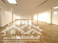 Cho Thuê Mp Quan Hoa Cầu Giấy 200M,10T,Mt9,3M, Thông Sàn,2Tm,Đủ Đh ,Nhà Mới Chưa Sd,Pccc Giá 350 Triệu