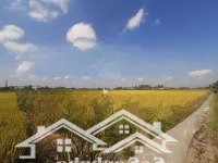 Chính Chủ Cần Bán Đất Ngay Huỳnh Văn Tung 2911M2, Tân Trụ - Long An, Giá Bán 430 Triệu/Công