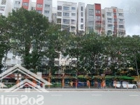 Bán Dãy Trọ Đầu Tư Siêu Lợi Nhuận Đoàn Giỏi, Tân Phú
Giá Hơn 7Tỷ- 58 Triệu/M2