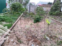 Đất Vuông, Ô Tô Vào Đất, Đức Thượng Hoài Đức 43M Giá Bán 4.22 Tỷ