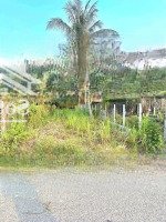 Đất Xây Trọ,Ks,Nhà Nghỉ 7X39M Có Thổ Cư Đường Nhựa 6M Sát Bên Kcn Phước Đông 1.2 Tỷ