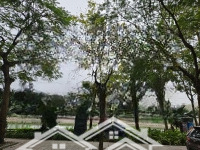 Hoa Hậu Tây Hồ - Mặt Phố Vipp - View Thơm Ngát Hương Sen - View Sang Với Nhà Giàu