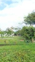 Bán 3 Sào Vườn Sầu Riêng Tại Đông Hoà Trảng Bom, Giá Chỉ 700 Triệu/Sào Quá Rẻ Ạ