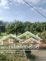 Bán 3 Sào Vườn Sầu Riêng Tại Đông Hoà Trảng Bom, Giá Chỉ 700 Triệu/Sào Quá Rẻ Ạ