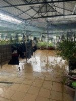 Chính Chủ Bán Nhanh Nhà 3 Tầng Đường Phan Như Cẩn Gần Chợ Ô Sin, Gần Kdt Sân Bay Cũ. Giá Bán 4.8 Tỷ