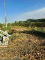 Nền Đất Ở 4X24,5M Thổ Cư 97M2 - Đường Nhựa 6M, View Sông Gần Kcn Cầu Tràm, Sổ Hồng Riêng