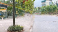Bán Đất Tái Định Cư Tứ Hiệp Đối Diện Trường Ngô Sĩ Kiện
