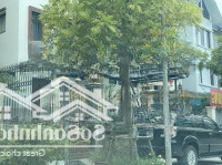 Chủ Cần Tiền Gấp Bán Căn Biệt Thự An Hưng- Thô Giá Rẻ Nhất Khu Vực- 180M2- Mt:10M- 36 Tỷ