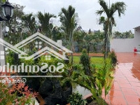 Căn Nhà Vườn 1100M2 Sát Đường Võ Nguyên Giáp, Xã Vĩnh Hiệp, Tp Nha Trang Giá Siêu Tốt