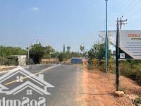 1005M2 Đường Nhựa, Phủ Hồng, Gần Biển, Lagi - Bình Thuận Giá Chỉ Còn 2.2 Tỷ