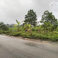 Bán 4 lô đất liền nhau mặt bằng 62 thôn ước thành quảng ninh quảng xương