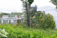 Bán Đất Dự Án Cẩm Khê Central Park 100M2 Giá Bán 1,7Ty Biệt Thự 225M2 Giá Bán 4 Tỷ Có Sổ Đỏ Liên Hệ: 0942974889
