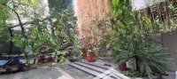 Siêu Hiếm!!! Tt Ba Đình, Thông Ôto Tránh, Phân Lô Bàn Cờ, 367M2, Bt 3 Tầng,Mặt Tiền12M, 100 Tỷ.