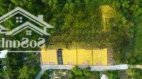 Bán Lô Đất Ở 500M2 Đường Cây Thông Trong, Sát Trung Tâm. Đường Trên Sổ, Mặt Tiền Rộng Tách Sổ Đẹp.