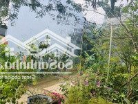 Bán Gấp 3 Lô Liền Kề Khu Suối Đá Gần Biển Gần Núi Xây Biệt Thự, Nghỉ Dưỡng Đáng Sống