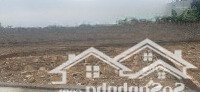 Bán Đất Đẹp Tại Xã Phù Linh, Sóc Sơn, Hàbán Đất Đẹp Tại Xã Phù Linh, Sóc Sơn, Hà Nội, 1,65 Tỷ, 80M2
