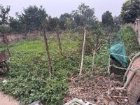 Đất Ba Vì Trục Chính Liên Thôndiện Tích300M Giá Hơn 2X Tỷ Cách Đườngdiện Tích87 Và Nhà Hàng Lá Cọ Vài Trăm M