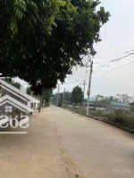 Chính Chủ Nhờ Bán 197.2M Lô Góc Siêu Đẹp Tại Trục Chính Thiên Mã.