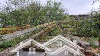 Cc Bán Căn Biệt Thự Ciputra, Tây Hồ, 441M2 X 5T Xmặt Tiền14M, Khu Q Đẹp Nhất Kđt Ciputra, Giá Bán 115 Tỷ