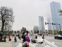 Mặt Phố Nguyễn Quốc Trị - 7 Tầng Có Hầm - Diện Tích 105M2 - Khu Vip Gần Big C - Ở & Văn Phòng