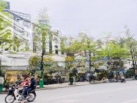 Mặt Phố Nguyễn Quốc Trị - 7 Tầng Có Hầm - Diện Tích 105M2 - Khu Vip Gần Big C - Ở & Văn Phòng