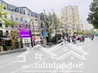Mặt Phố Nguyễn Quốc Trị - 7 Tầng Có Hầm - Diện Tích 105M2 - Khu Vip Gần Big C - Ở & Văn Phòng