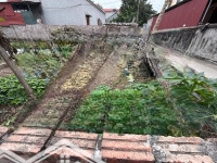 Lô Góc Siêu Đẹp 62M2 Thanh Khương, Thuận Thành Gần Hồ, Trường Học