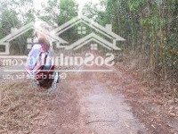 Chủ Cần Bán Đất Phủ Hồng Xã Vĩnh Thanh, Nhơn Trạch, 2 Mặt Tiền, Đường Rộng 8M, Giá Tốt