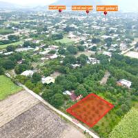 Đất an toàn Cam Hiệp Nam 1004m2 mặt tiền 30m có thổ cư, sẵn vườn xoài tơ giá chỉ 113tr/m ngang