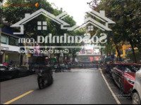 Mặt Phố Nguyên Hồng, Đoạn Đẹp Nhất Phố, 65M2, Kinh Doanh Ngày Đêm, Giá Nhỉnh 30 Tỷ