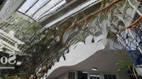Bán Nhà Đường Nguyễn Tri Phương, Quận 10. Diện Tích 6.2X16M Kết Cấu 4 Tầng Giá Bán 21 Tỷ Tl