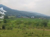 Bán Đất Diện Tích 20281M2 Pháp Lý Rõ Ràng Giá Siêu Rẻ Tại Kim Bôi, Hòa Bình Tiềm Năng Khai Thác Lớn