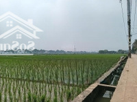 Bán Đất Xã Dục Tú - Huyện Đông Anh: Giáp Ngay Đường Dẫn Lên Cầu Tứ Liên. Giá Đầu Tư Nhé!