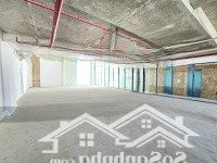 Tòa Building Mặt Tiền Nguyễn Đình Chiểu Quận 1 (Diện Tích9 X 27M = 243M2 - Hầm - 8 Tầng ) Giá Bán 120 Tỷ
