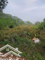 Bán Đất Đồng Việt, 1,6 Tỷ, 455M2, Mặt Tiền 19M, Pháp Lý Đầy Đủ