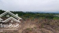 Cần Bán 12000M2 Đất View Hồ Sơn Giang, Sông Hinh, Phú Yên