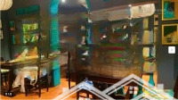 Cho Thuê Mặt Bằng Kinh Doanh Phố Tô Hiệu Diện Tích 250M2 Mặt Tiền 5.5M Phù Hợp Như Cafe, Sân Bia..
