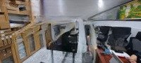 Bán Gấp Nhàhẽm Xe Hơiphan Xích Long Quận 11Diện Tíchlớn 68M2 Vừa Ở Vừa Mở Cty Chỉ 7Ty5