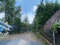 Lô Đất Nông Nghiệp Đường 11 Tam Bình Sát Vành Đai 2 Thủ Đức Giá Đầu Tư