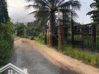 Lô Đất Nông Nghiệp Đường 11 Tam Bình Sát Vành Đai 2 Thủ Đức Giá Đầu Tư