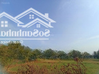Đất Phước Hiệp, Củ Chi Có Shr, 300M2 Thổ Cư, Mặt Tiền Đường Bê Tông Mới (Có Thể Tách Thửa)