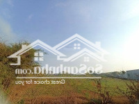 Đất Phước Hiệp, Củ Chi Có Shr, 300M2 Thổ Cư, Mặt Tiền Đường Bê Tông Mới (Có Thể Tách Thửa)