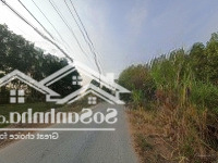 Đất Phước Hiệp, Củ Chi Có Shr, 300M2 Thổ Cư, Mặt Tiền Đường Bê Tông Mới (Có Thể Tách Thửa)