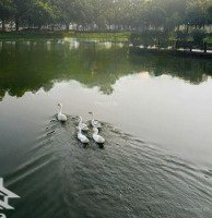 Mua Nhà Ngay Aeon Tân Phú Ghcđt 200 Căn Ctbh: Tt20% Nhận Nhà Ân Hạn Gốc Lãi 24Th Tt 95% Ck Khủng